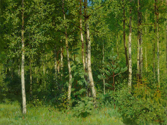 Кугач Юрий Петрович. Березовая роща 